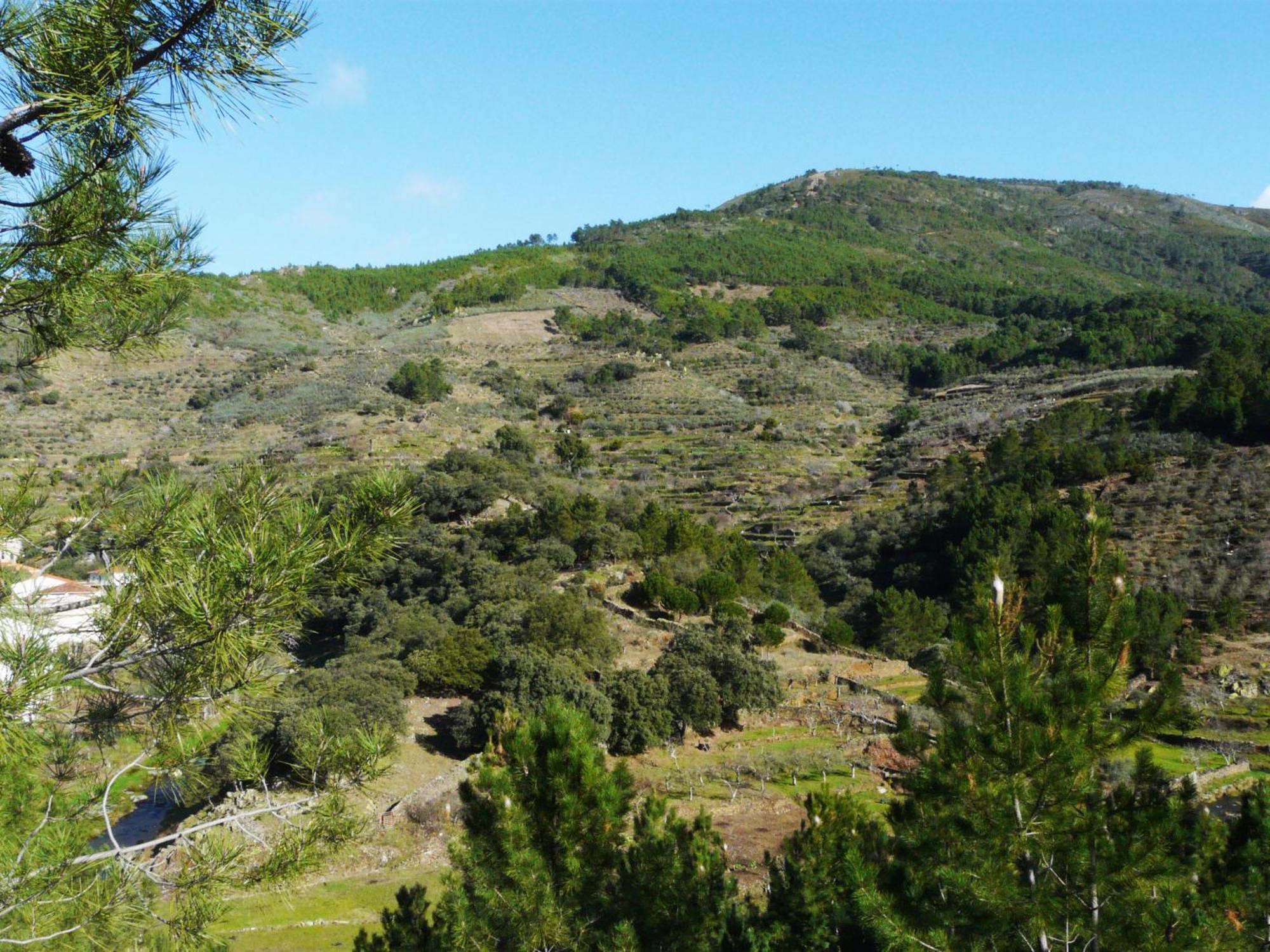 Apartamentos Rurales El Prado Pinofranqueado Esterno foto